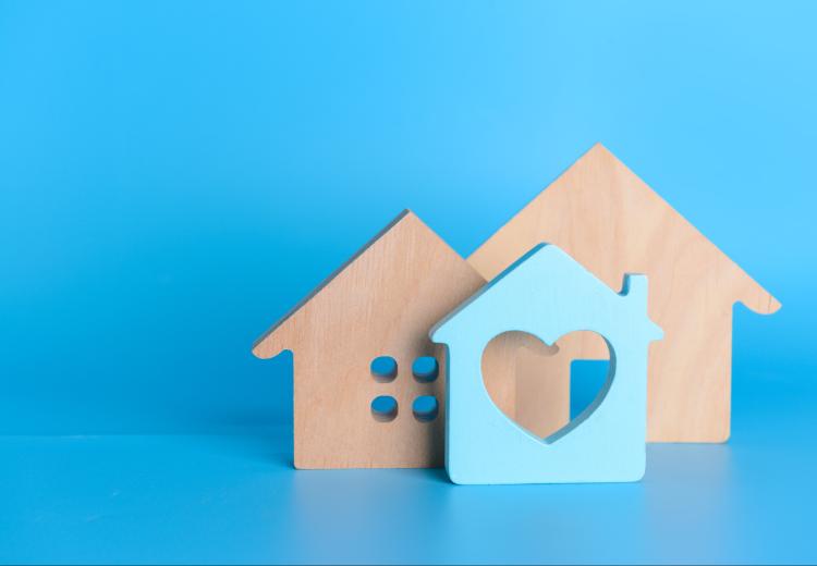 Achat Immobilier : Vivre en France et Travailler en Suisse